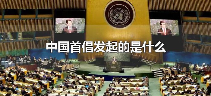 中国首倡发起的是什么