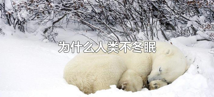 为什么人类不冬眠
