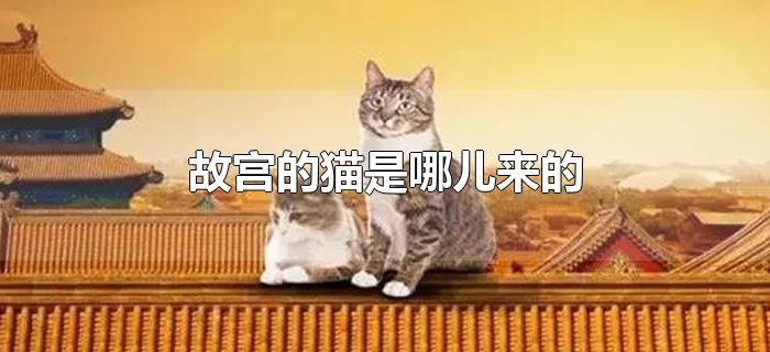 故宫的猫是哪儿来的