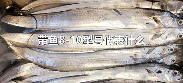 带鱼8-10型号代表什么