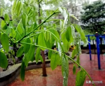 ​0-100数字快速记忆法训练（五分钟学会数字宫殿记忆法）