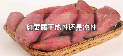 ​红薯属于热性还是凉性（红薯是凉性的还是热性）