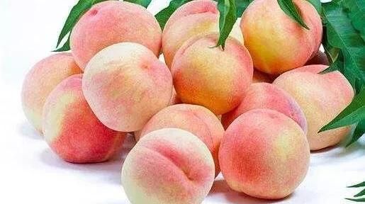 桃子是凉性还是热性，桃子是凉性还是热性？图3