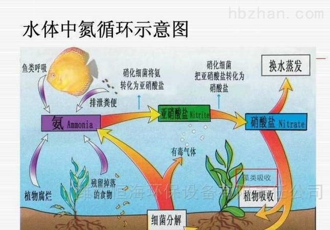 污水厂氨氮超标应该如何处理才能达标呢