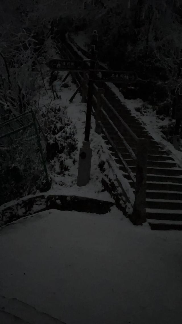 峨眉山上有哪些好玩的（峨眉山值得一去）(10)
