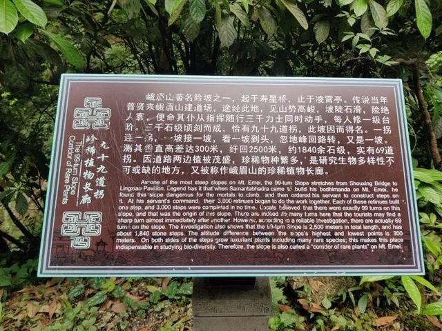 峨眉山上有哪些好玩的（峨眉山值得一去）(4)