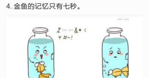 鱼真的只有七秒钟的记忆吗