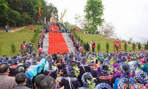 布依族清明节习俗