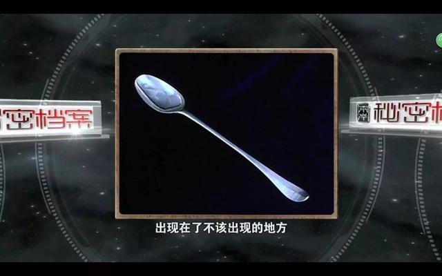 惠特尼休斯顿传记（揭秘惠特尼休斯顿的坎坷人生）(3)