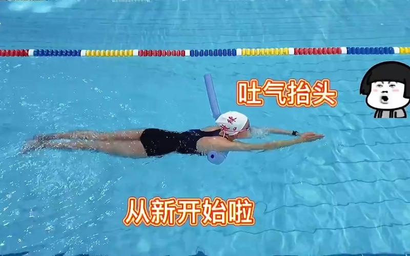 蛙泳怎么换气基本动作（教你蛙泳换气过渡动作）