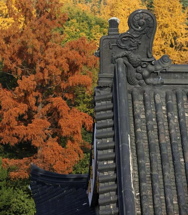 高校图书馆开馆简介（南大图书馆对外开放）(8)