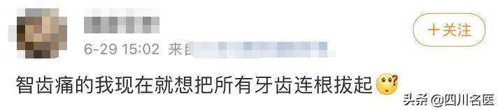 智齿要不要拔看完这篇我瞬间懂了（智齿到底要不要拔）(3)