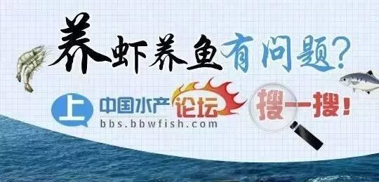 淘宝电商购物数据分析（从淘宝天猫1207亿交易额）(1)