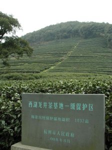 ​龙井茶原产地是哪里（龙井茶原产地介绍）