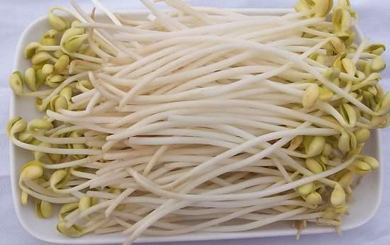 泡绿豆七天的生长过程（找把绿豆泡水里）(9)