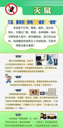 其中四害现在指的是哪四种