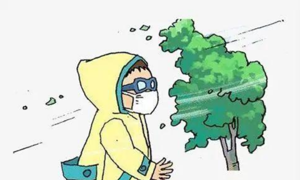 什么天气系统造成的大风为多,我国部分地区连降大雨暴雨图12