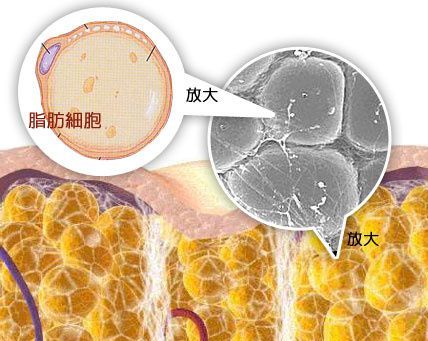 黄桃和苹果哪个热量高,苹果和桃子一起榨汁好不好喝图2