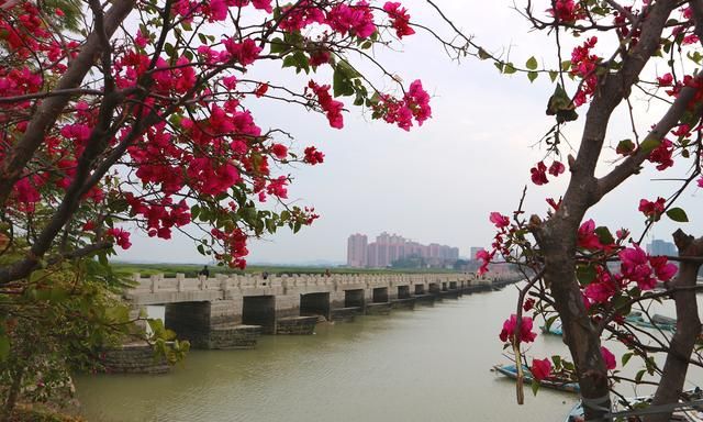 洛阳桥在哪，洛阳桥 在宁波吗？图30