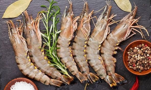 海虾的种类，海南大虾的种类？图13