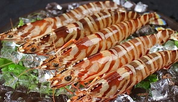海虾的种类，海南大虾的种类？图10