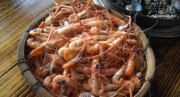 海虾的种类，海南大虾的种类？图2