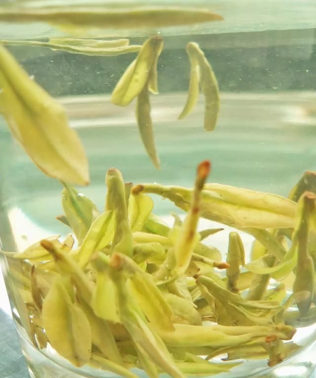 陆羽是哪朝人，谁能介绍一下“茶圣”陆羽？图2