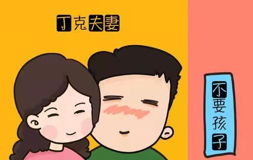 丁克什么意思，丁克是什么意思？图3