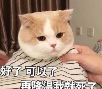 ​天气降温关心简短句子，天凉了简短暖心句子？