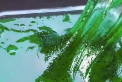 洗手液怎么做起泡胶,起泡胶的制作方法简单无胶水图9