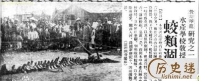 ​营口坠龙事件真假，揭秘1934年营口坠龙事件真相