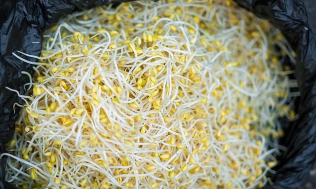 绿豆芽的生法，豆芽是一种绿色无污染的蔬菜，它是用什么方法培育出来的呢？图1