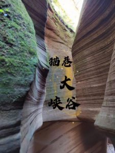 ​志丹县旅游景点有哪些(志丹县旅游景点介绍)