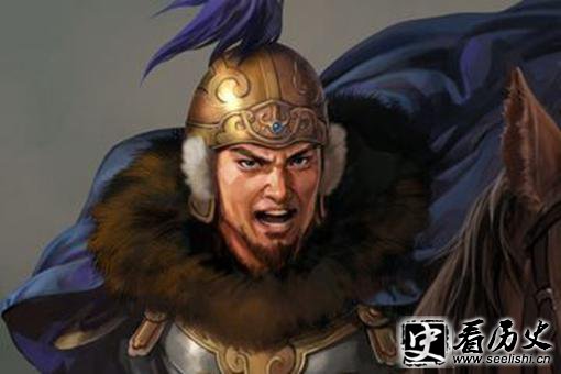 三国时期几大少数民族势力,谁最厉害?