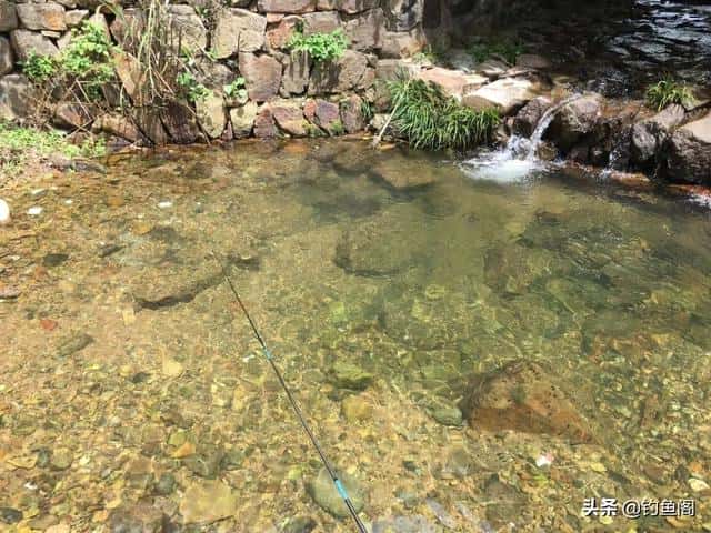 昂刺鱼钓鱼技巧大全（钓昂刺鱼的最佳时间）