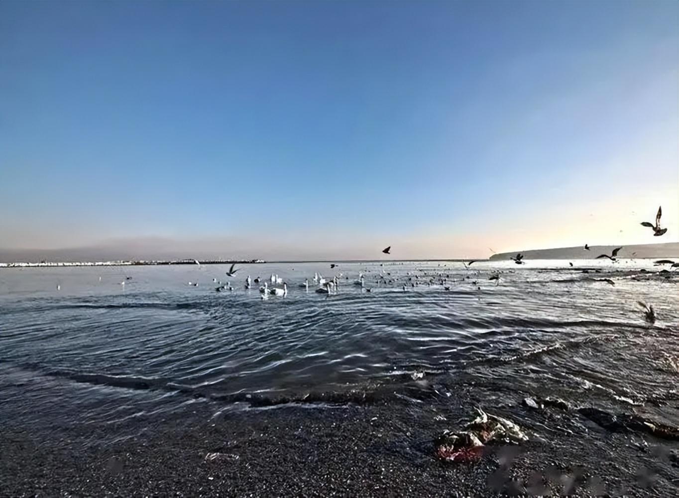 黑海为什么叫黑海(为什么黑海是黑色的)