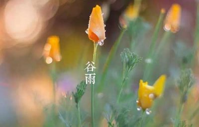 ​谷雨是什么意思，谷雨节气的含义