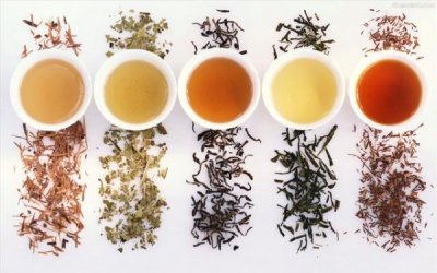 ​泡生姜菊花白酒吗？菊花能跟生姜泡在一起喝吗
