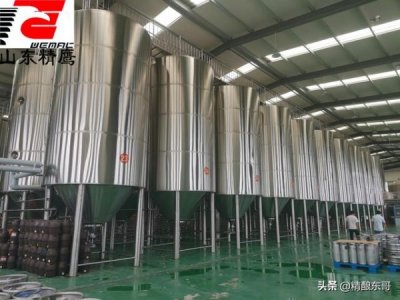 ​怎么酿精酿啤酒(小型酿精酿啤酒机器)