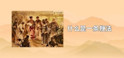 ​什么是一条鞭法