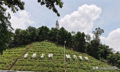 ​甘坑客家小镇，深藏城市中的历史记忆，置身其中，感受古村之美