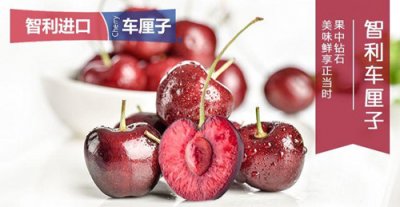 ​智利为什么盛产车厘子