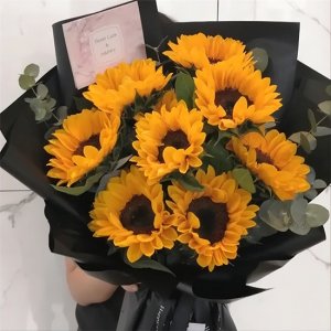 ​最常见的向日葵品种 这也太全了吧！