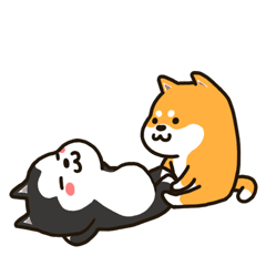 kisskiss的表情包分享，抖音上KISSKISS梗的来源