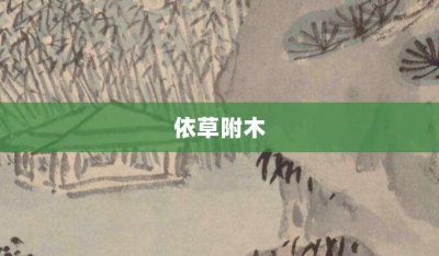 ​依草附木