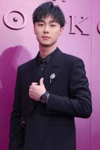 ​施柏宇（中国台湾影视男演员）