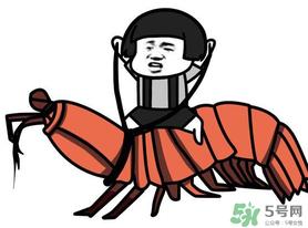 用皮皮虾骂人什么意思？骂人皮皮虾什么意思？