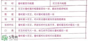 萱肌蜜蒸汽眼罩和花王蒸汽眼罩哪个好？