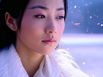 ​北宋王安石的儿子王雱的一首词《眼儿媚》引发的公案