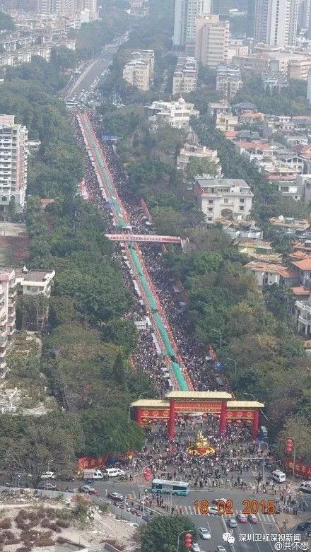深圳迎春花市回来了，小伙伴们走起来~